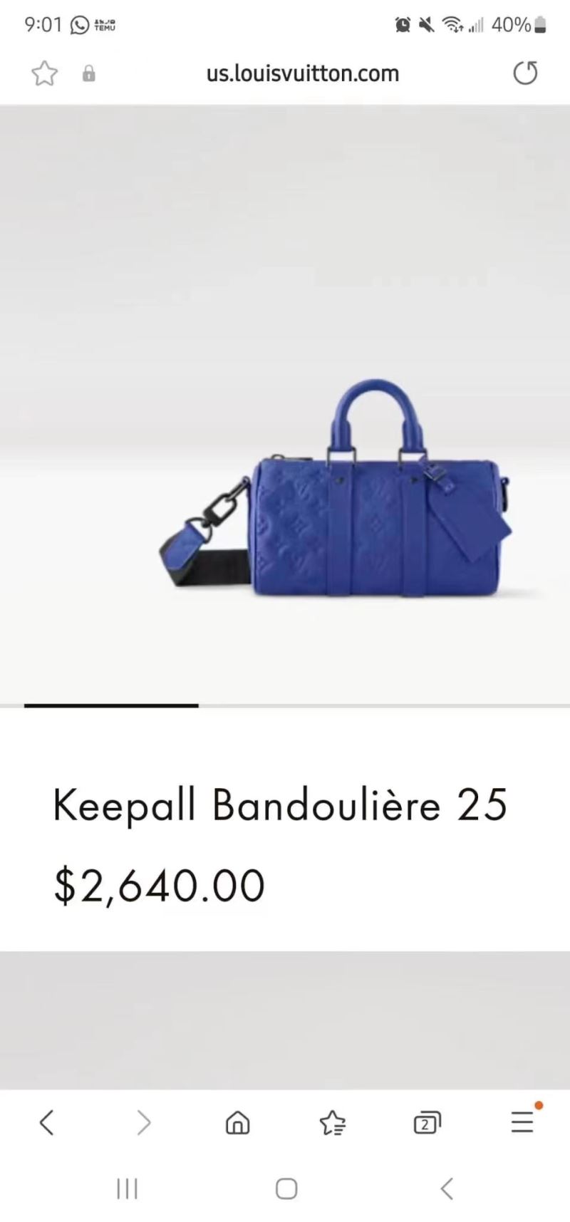 Louis Vuitton Speedy Bags